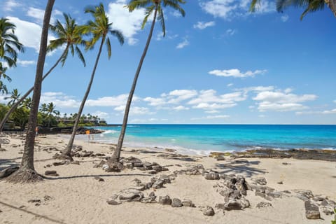 Pristine tropical beach with swaying palms, turquoise waters, and golden sand creates the perfect Hawaiian paradise setting.