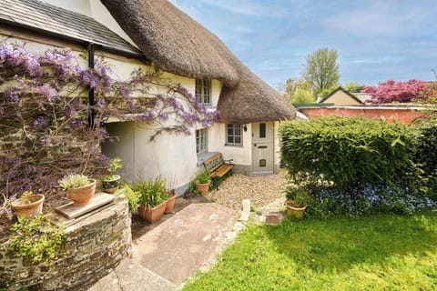 Wistermead Cottage, Dolton - Host & Stay