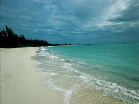 Private beach, white sand, beach umbrellas, beach towels
