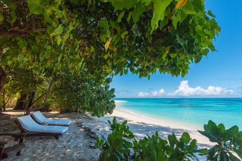 Deluxe Beach Cottage | Beach/ocean view