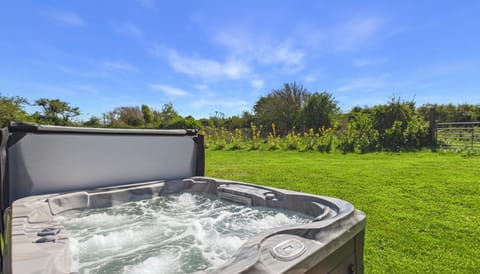 Swanlake Lodge - 3 Bedroom Lodge - Penally (28853)