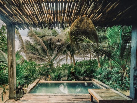 Outdoor pool, sun loungers