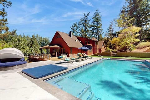 Dive into your private Sebastopol escape — a sun-drenched pool framed by towering pines and a charming red lodge, with plush loungers and a canopied daybed waiting poolside.