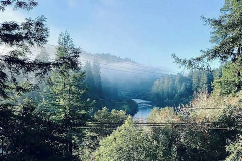 Wake up to morning mist drifting over the Russian River — your private redwood-framed vista stretches across the canyon from this Monte Rio hideaway.