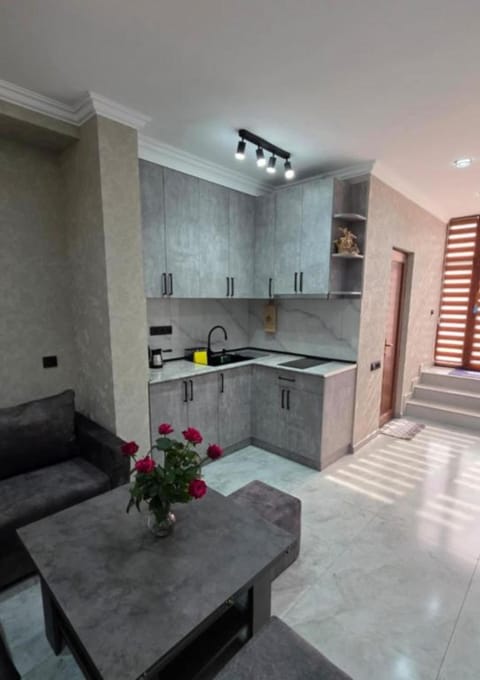 Signature Apartment, 2 Bedrooms | Private kitchen | Full-size fridge, microwave, stovetop, coffee/tea maker
