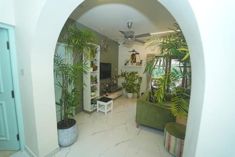 Flat-screen TV