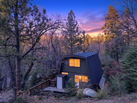 A-frame cabin tucked among the trees with a private hot tub.