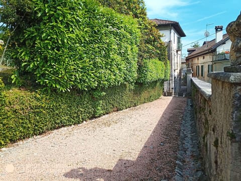 Green, Leaf, Shrub, Hedge, Groundcover, Garden, Alley, Sidewalk, Walkway, Landscaping