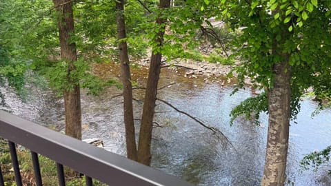 View of Little River from the back deck...