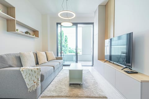 Basic Apartment | Living area | 55-inch Smart TV with digital channels, streaming services