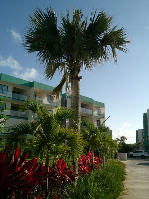 Beautiful tropical landscaping featuring lush palm trees and vibrant greenery.