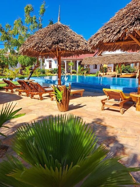 Outdoor pool, pool umbrellas, sun loungers