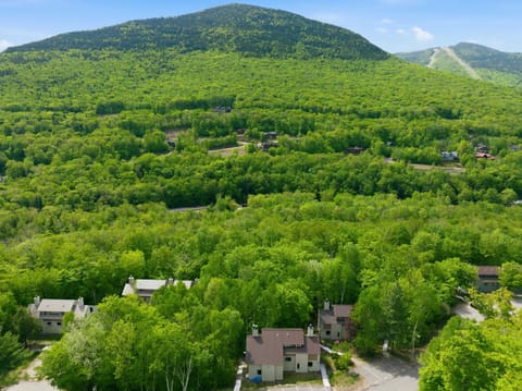 Tucked quietly into the trees, our multi-level lodge offers an unbeatable combination of resort-style convenience and peaceful mountain solitude.