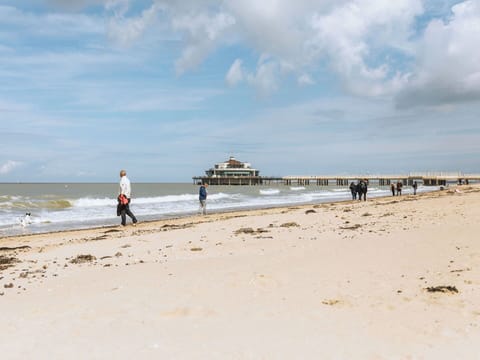 Sky, Beach, Water, Body Of Water, Natural Environment, Coast, Horizon, Sea, Coastal And Oceanic Landforms, Shore