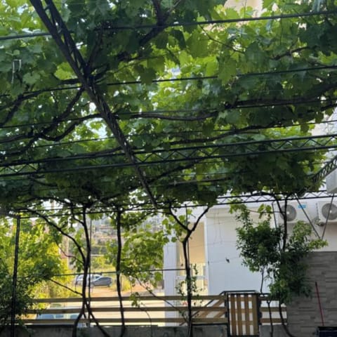 Double Room | Property grounds