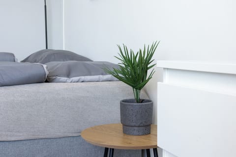 Classic Studio, 1 Queen Bed with Sofa bed, Kitchen | Free WiFi