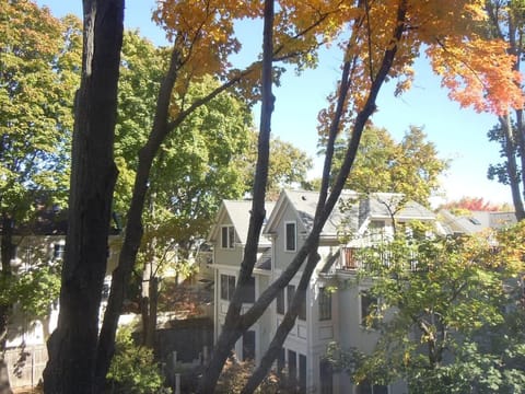 View from living room