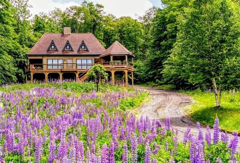 Eagle`s Nest Lupine Season