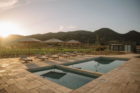 Outdoor pool, pool umbrellas, sun loungers