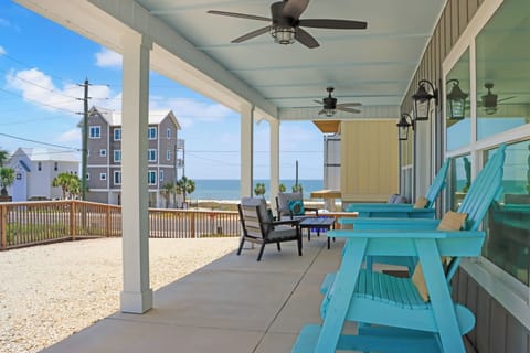 Welcome to Turtle Watch! Front Porch with a View