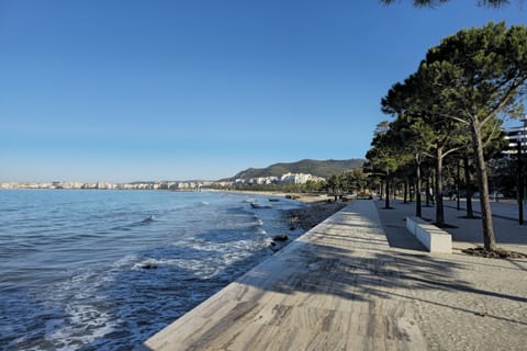 Surroundings