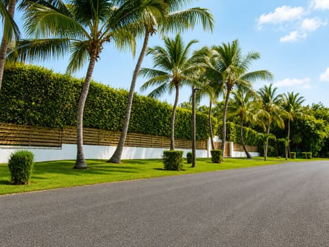 Palm-lined entryway