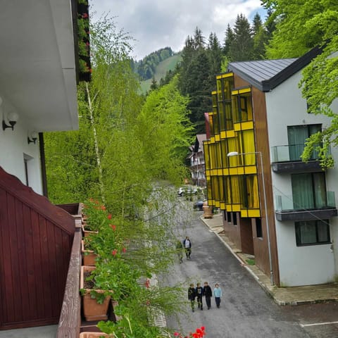 Standard Double Room, 1 Queen Bed, Balcony, Mountain View | Balcony view