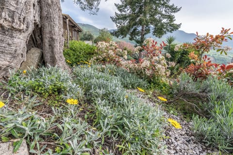 Villa, Garden View | Exterior detail