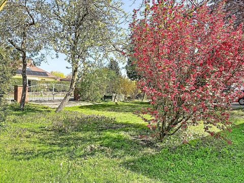 Garden, Groundcover, Trunk, Spring, Lawn, Backyard, Shade, Yard, Landscaping, Water Feature