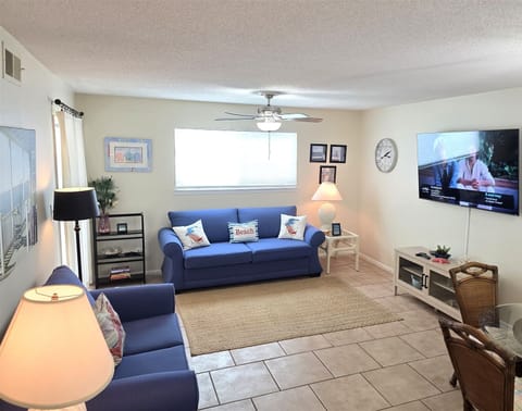 Living Area with Very Comfortable Sofabed - Living Area with Very Comfortable Sofa bed