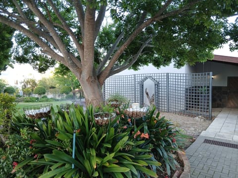 House, 3 Bedrooms, Accessible, Smoking | Garden