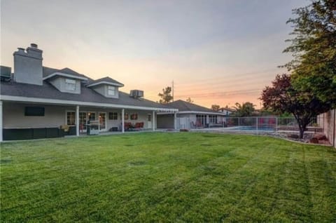 back yard