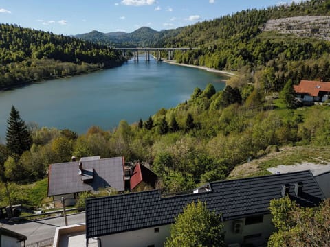 Tree, Natural Environment, Landscape, Bird'S-Eye View, Aerial Photography, Natural Landscape, Rural Area, Residential Area, Land Lot