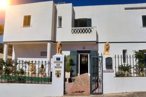 Casita Palmera XL - 1