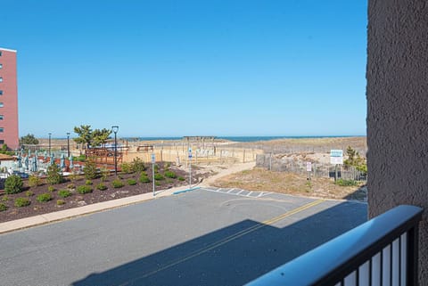 Vintage 101 - View from Deck