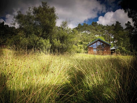 Keldy Classic Golden Oak Secluded View