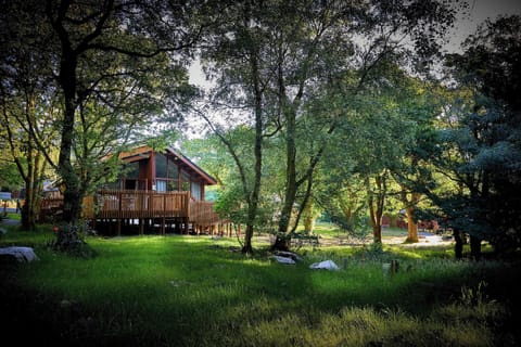 Beddgelert Silver Birch Secluded View - freshly inspired design