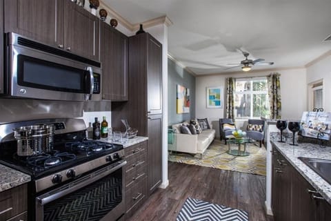 Living room/Kitchen