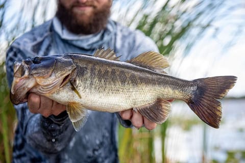 Are you going to be catching the next trophy fish?
