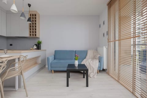 A bright living area with a blue sofa, dining table, and compact kitchenette. Large windows with sheer curtains bring plenty of natural light into the room.