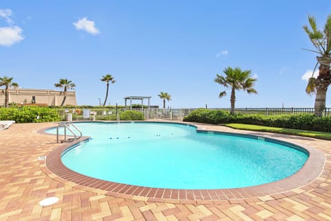 Beachside pool area with palm trees, lounge space, and easy access to the Gulf