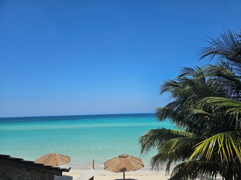 Luxury Suite, Sea View | Terrace/patio