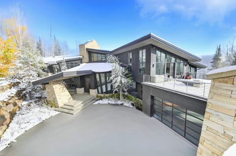 Stone entry drive and modern architecture create a dramatic first impression.