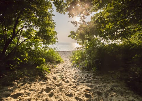Beach nearby