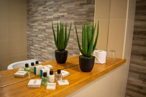 Shower, designer toiletries, hair dryer, bathrobes