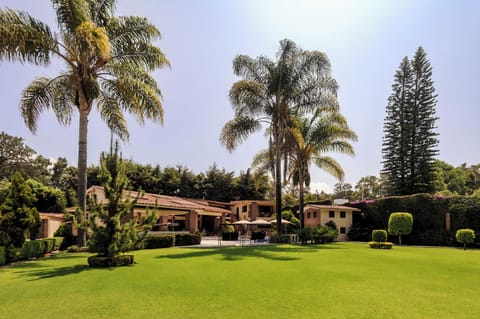 Great Big Garden