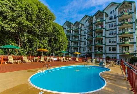 Take a refreshing dip in the outdoor pool surrounded by trees.