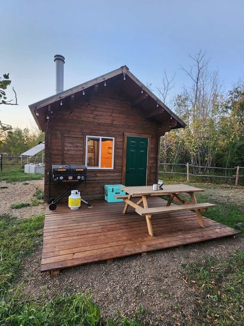 Cabin from SE.