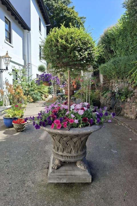 Flower, Shrub, Flowerpot, Garden, Floristry, Spring, Houseplant, Yard, Landscaping