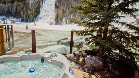 Condo, 2 Bedrooms | Outdoor spa tub